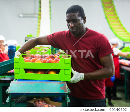 Male warehouse worker loading boxes with peaches Male warehouse worker loading boxes with peaches 69140802