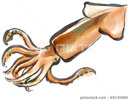 鮮魷魚 鮮魷魚 69140960