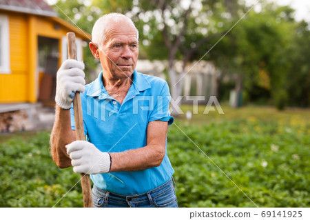 Farmer weeds potatoes with a hoe in the garden 69141925