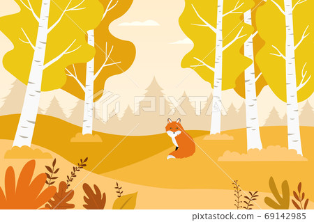 Fox in the birch forest 69142985