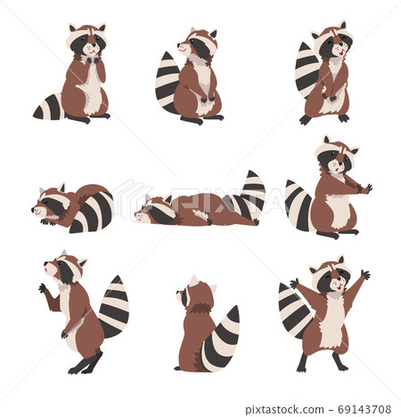 Cute Raccoon Collection, Adorable Wild Forest... - Stock Illustration  [69143708] - PIXTA