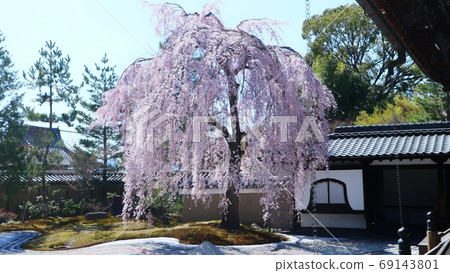 京都高地寺 69143801