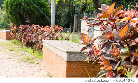 Park bench in sitting lawn of front or back yard Garden of a residential building. 69144076