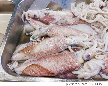 Pile of frozen squids for sale at seafood market Pile of frozen squids for sale at seafood market 69144588