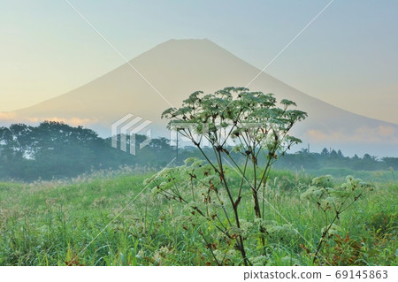 Mt. Fuji with Shishiudo Mt. Fuji with Shishiudo 69145863