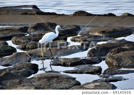 海邊的海岸 69145939