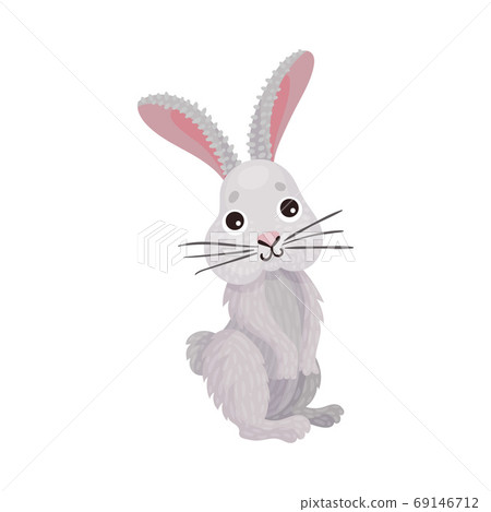 Cute White Hare with Long Ears as Herbivore Forest Animal Vector Illustration 69146712