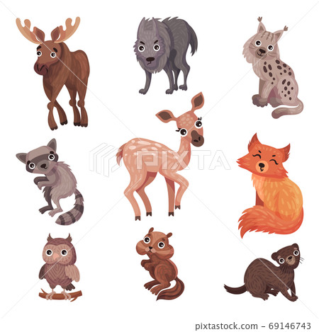 Forest Animals with Wolf and Elk Vector Set 69146743