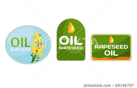 Rapeseed Oil Labels Isolated on White Background Vector Set Rapeseed Oil Labels Isolated on White Background Vector Set 69146787