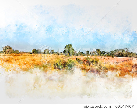 Abstract colorful tree and field landscape on watercolor illustration painting background. 69147407