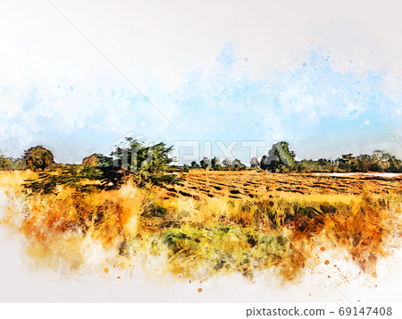 Abstract colorful tree and field landscape on watercolor illustration painting background. 69147408