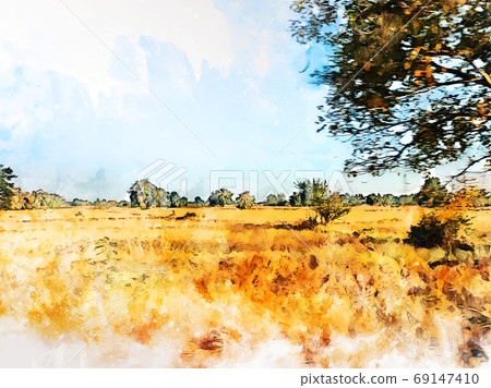 Abstract colorful tree and field landscape on watercolor illustration painting background. Abstract colorful tree and field landscape on watercolor illustration painting background. 69147410