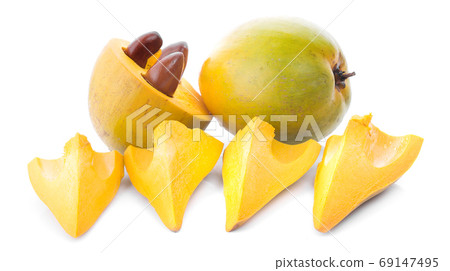 Egg fruit, Canistel, Yellow Sapote (Pouteria campechiana (Kunth) 69147495