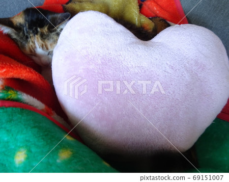 Sleeping cat and heart pillow Sleeping cat and heart pillow 69151007