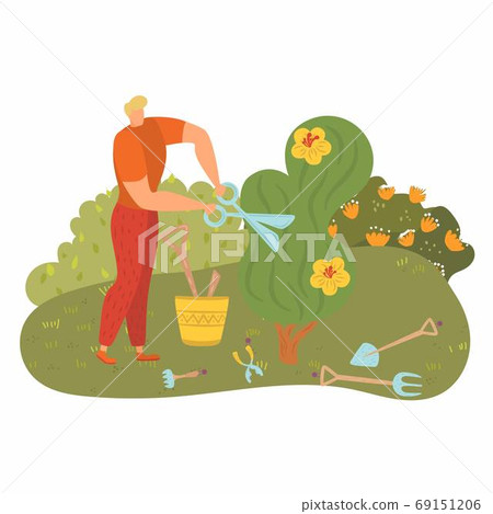 Man work near tree, people engaged gardening, cartoon young gardener, cut greenery, design, cartoon style vector illustration. Man work near tree, people engaged gardening, cartoon young gardener, cut greenery, design, cartoon style vector illustration. 69151206