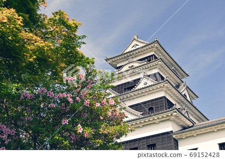 Japan's 100 Great Castles / Owaki Castle 69152428