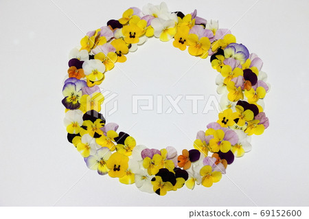 Viola wreath Viola wreath 69152600