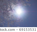Snow and sun falling from rime 69153531