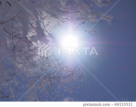 Snow and sun falling from rime Snow and sun falling from rime 69153531