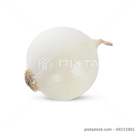 white onion on white background. 69153801