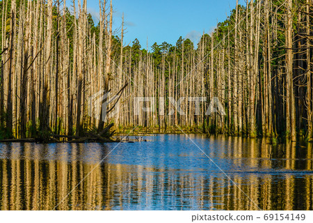 台灣高山湖泊-水漾森林 藍天倒影 69154149