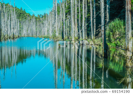 台灣高山湖泊-水漾森林 藍天倒影 69154190