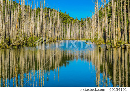 台灣高山湖泊-水漾森林 藍天倒影 69154191