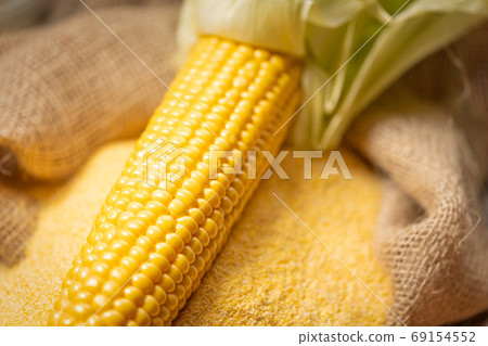 Ripe young sweet corn cob and cornmeal close up 69154552