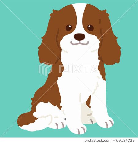 坐下沒有主線的棕色騎士國王查爾斯犬 69154722