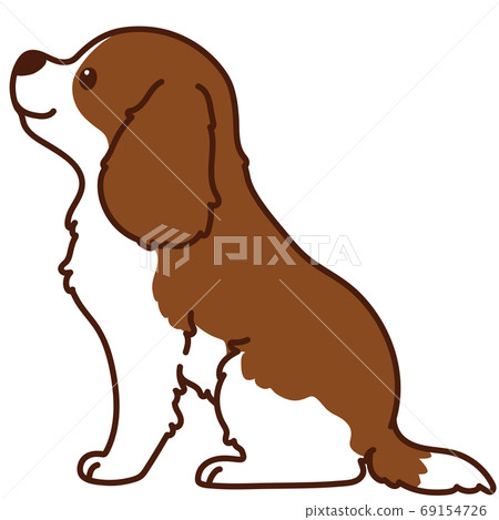 坐棕色騎士國王查爾斯狗與主線側身 69154726