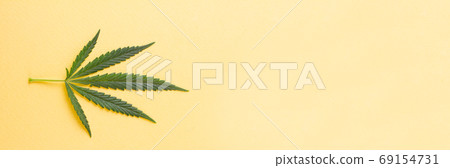 Cannabis leaf lying on a yellow background. 69154731