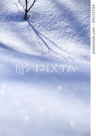 雪表面與分支陰影和散景 雪表面與分支陰影和散景 69155784