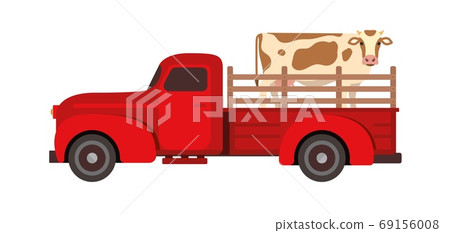 Cow Transportation flat vector illustration. Farm livestock animals moving. Cattle relocation with a red pick up truck. Cow Transportation flat vector illustration. Farm livestock animals moving. Cattle relocation with a red pick up truck. 69156008