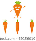 Vector carrot illustration. Healthy food, vegetable ingredients. 69156010