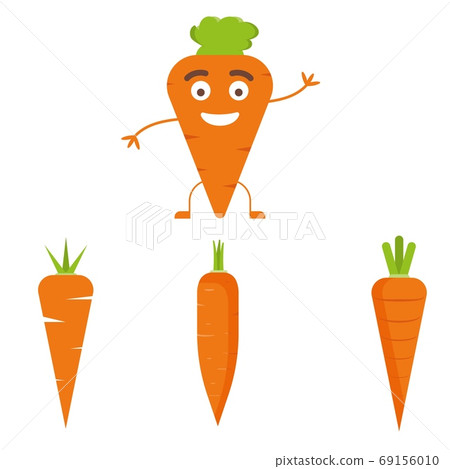 Vector carrot illustration. Healthy food, vegetable ingredients. Vector carrot illustration. Healthy food, vegetable ingredients. 69156010