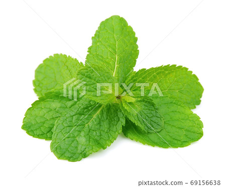 Herbal mint 69156638