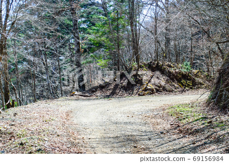 德島縣劍道山超級森林路的未鋪砌曲線 德島縣劍道山超級森林路的未鋪砌曲線 69156984