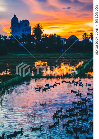 Fiery dark orange red yellow purple colorful natural bright dramatic sunset sky. Evening cloudscape reflected in water, background building in shadow, ducks floating in rice field. Design wallpaper Fiery dark orange red yellow purple colorful natural bright dramatic sunset sky. Evening cloudscape reflected in water, background building in shadow, ducks floating in rice field. Design wallpaper 69159658