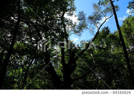Landscape of Takeda Nature Observation Education Forest Landscape of Takeda Nature Observation Education Forest 69160826