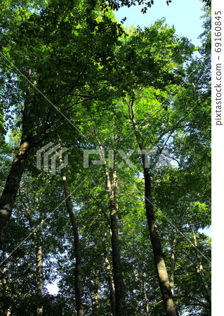 Landscape of Takeda Nature Observation Education Forest Landscape of Takeda Nature Observation Education Forest 69160845