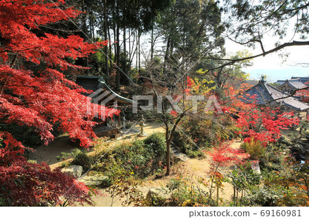 Hunan Sanzan, autumn leaves of Zensui Temple 69160981