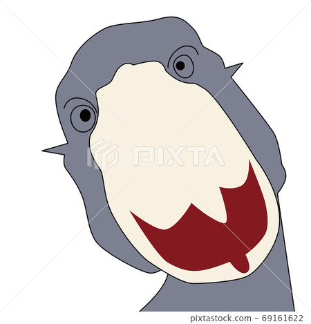 Illustration of a shoebill Illustration of a shoebill 69161622