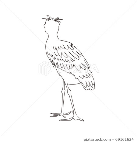 shoebill的例證 shoebill的例證 69161624