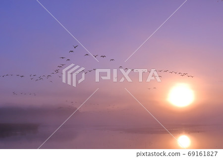 Sunrise and departure Sunrise and departure 69161827