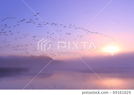 Sunrise and departure Sunrise and departure 69161829