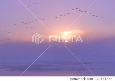 Sunrise and departure Sunrise and departure 69161852