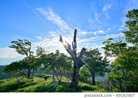 Collaboration with Kojo seen through dead tree @ Mt. Odaigahara, Nara 69162007