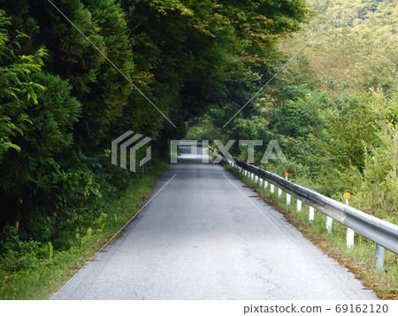 A thin mountain path that looks like a tree tunnel 69162120