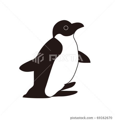 penguin illustration penguin illustration 69162670