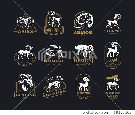 Collection of wild and domestic sheep.  69163165